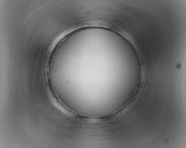 X0000113641136200910021910