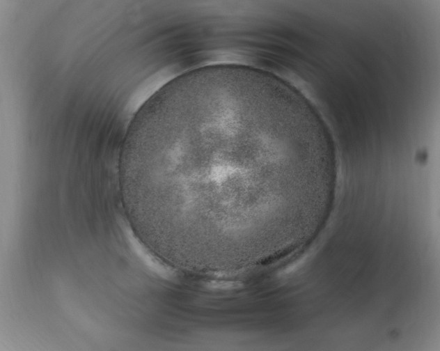 X0000113641137200910021910