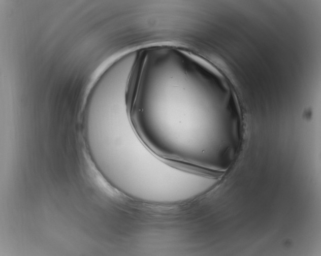 X0000113641140200910021910