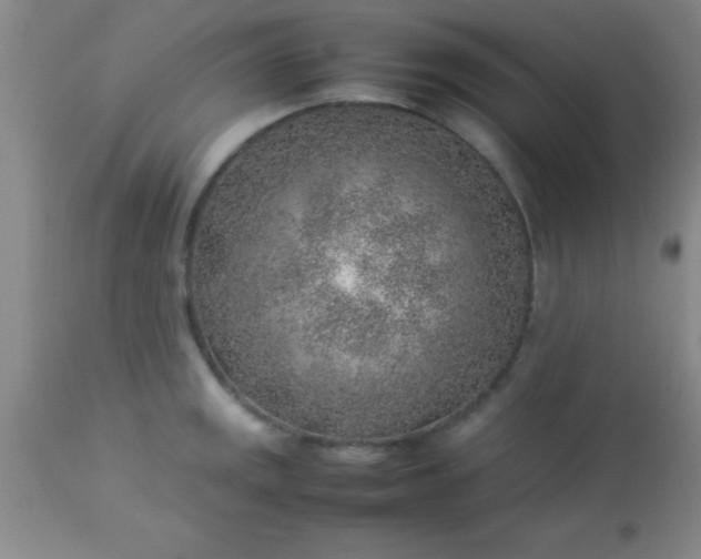 X0000113641141200910021910