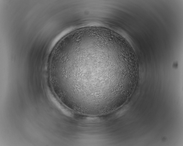 X0000113641142200910021910