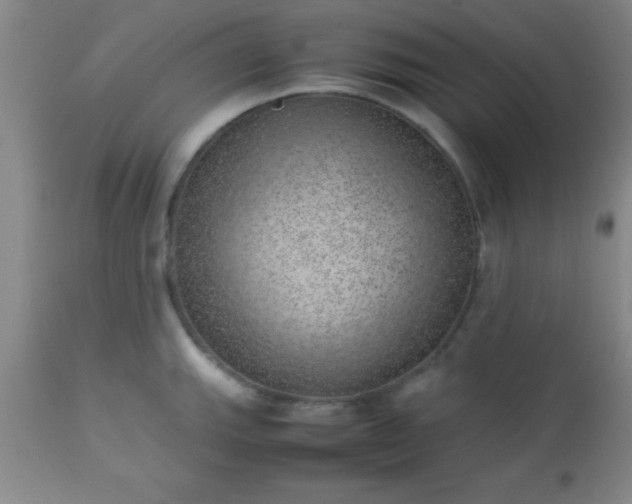 X0000113641143200910021910