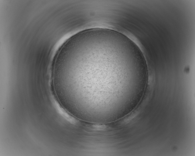 X0000113641144200910021910