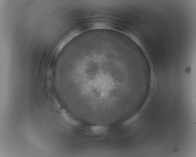 X0000113641145200910021910