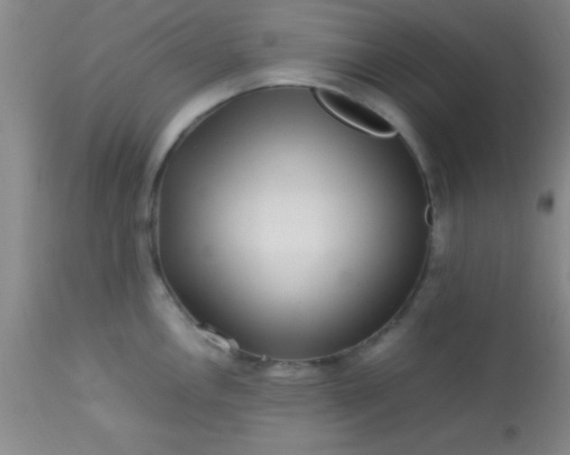 X0000113641146200910021910