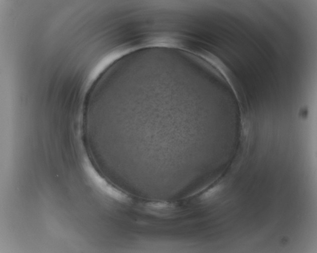 X0000113641147200910021910