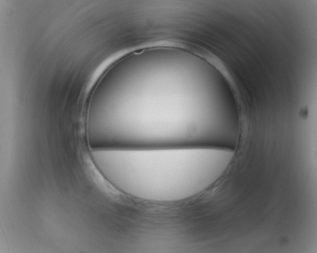 X0000113641148200910021910