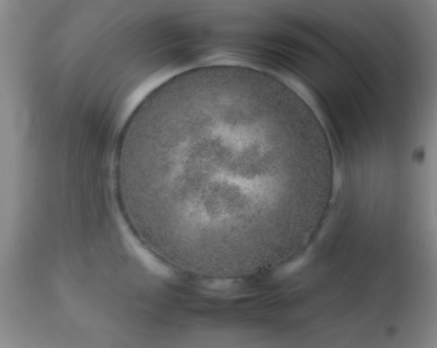 X0000113641149200910021910