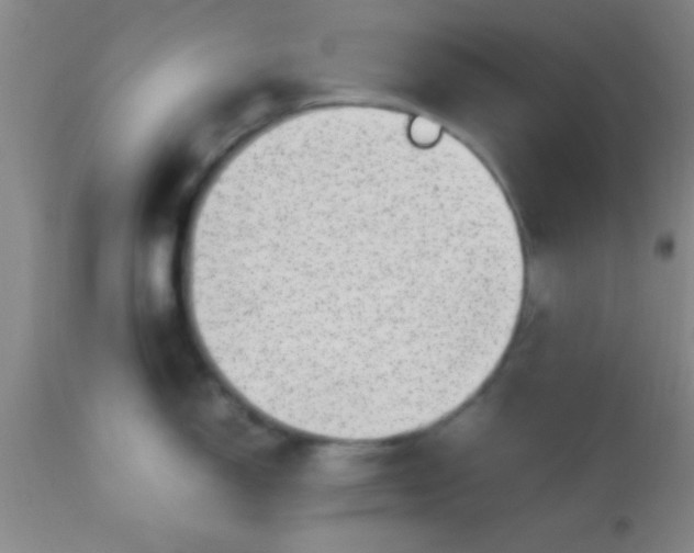 X0000113641150200910021910