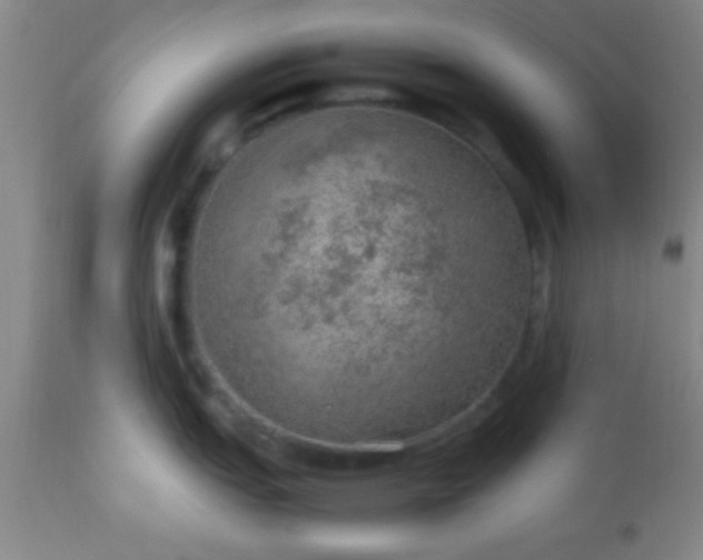 X0000113641151200910021910