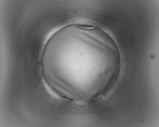 X0000113641152200910021910