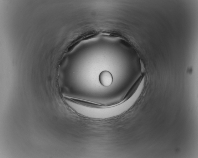 X0000113641153200910021909