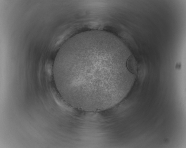 X0000113641154200910021909