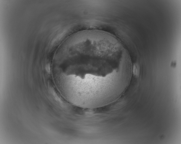 X0000113641155200910021909