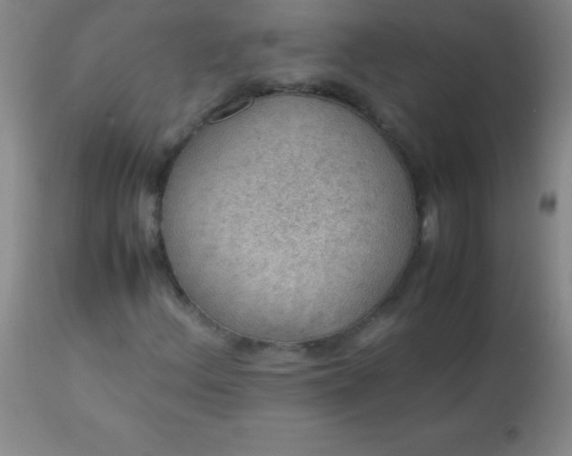 X0000113641156200910021909