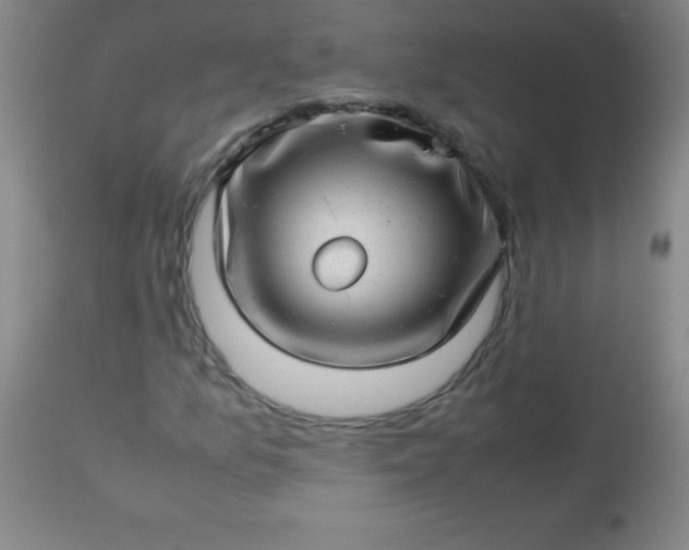 X0000113641157200910021909