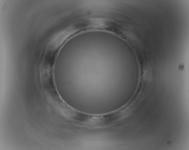 X0000113641161200910021909