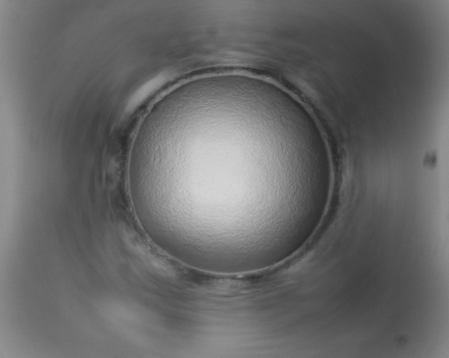 X0000113641163200910021909