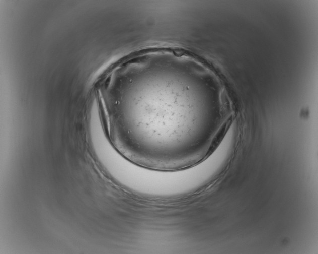 X0000113641165200910021909