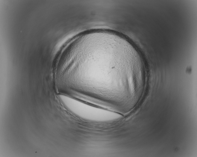 X0000113641167200910021909