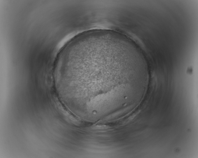 X0000113641168200910021909