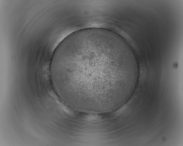 X0000113641170200910021909