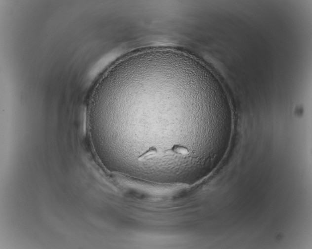 X0000113641171200910021909