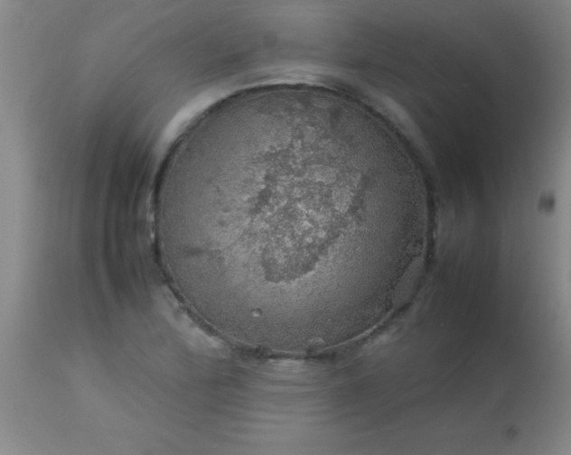 X0000113641172200910021909