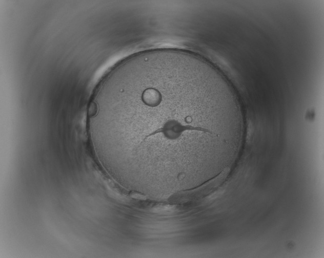 X0000113641174200910021909