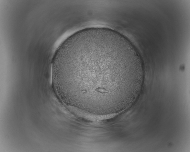 X0000113641175200910021909