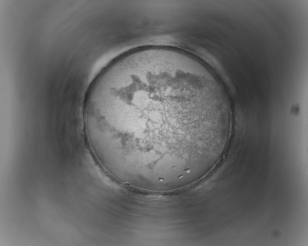 X0000113641176200910021909