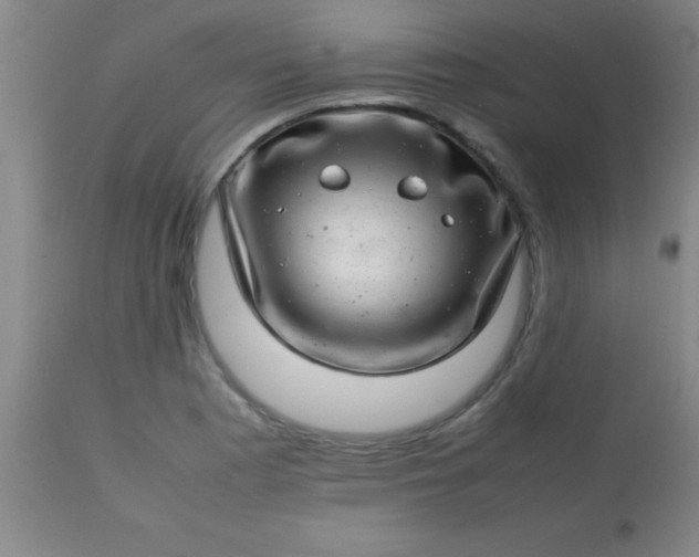 X0000113641177200910021909