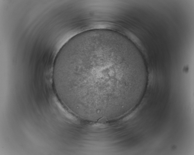 X0000113641178200910021909