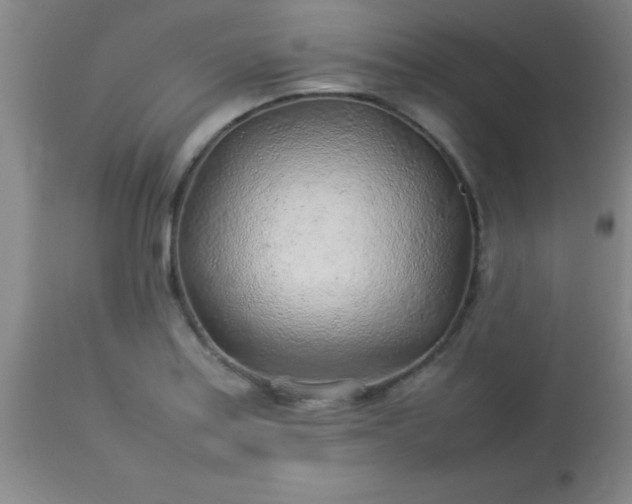 X0000113641179200910021909