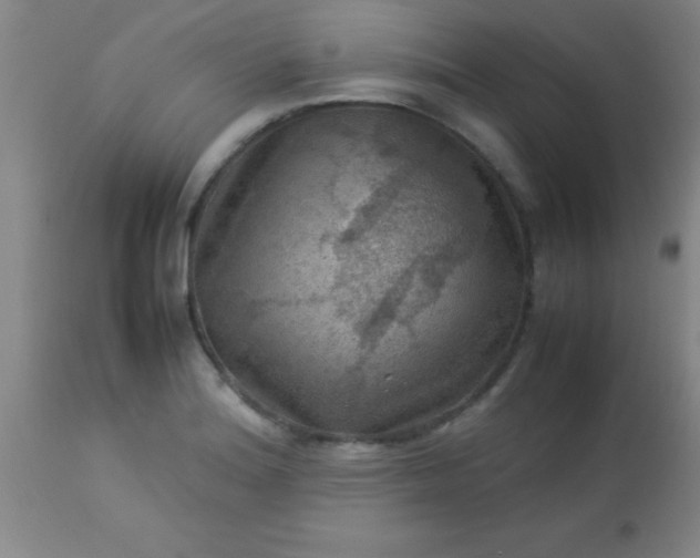 X0000113641180200910021909