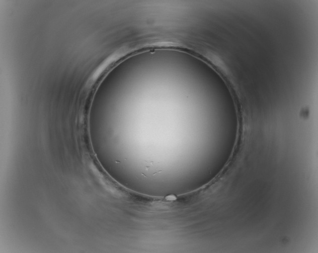 X0000113641181200910021909