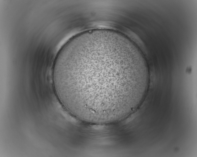 X0000113641182200910021909