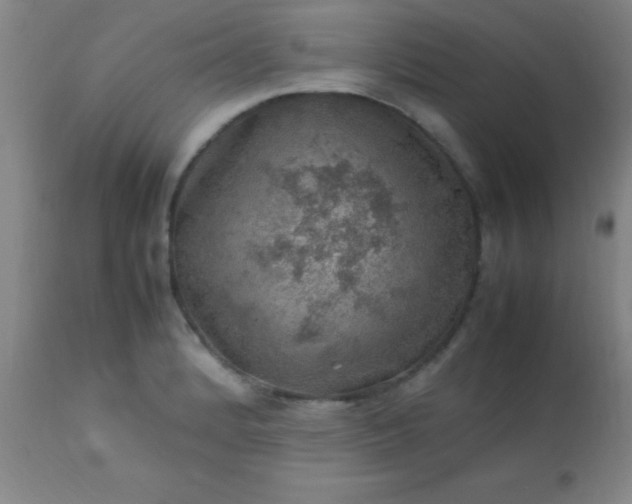 X0000113641184200910021909