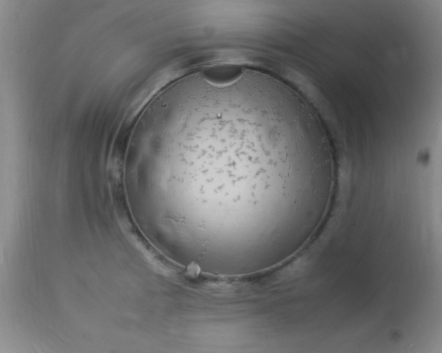 X0000113641185200910021909