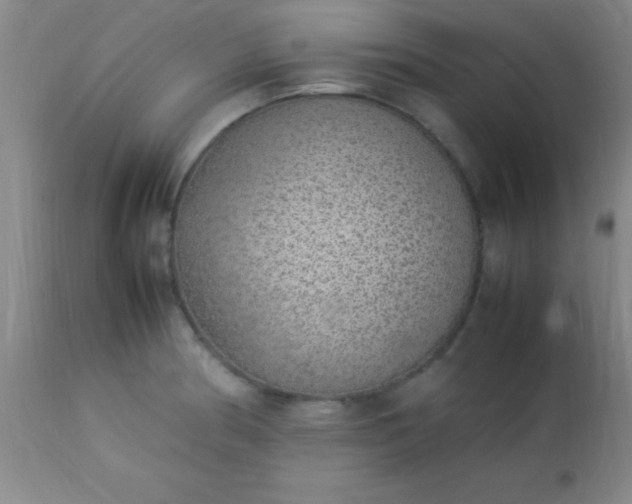 X0000113641186200910021909