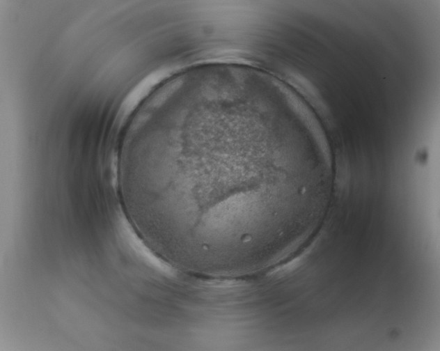 X0000113641188200910021909