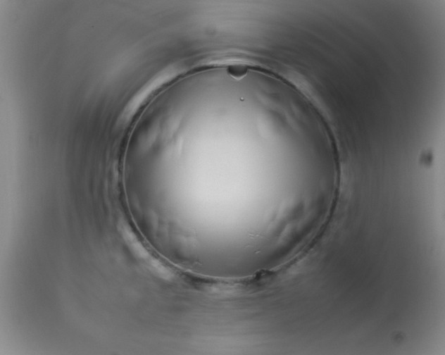 X0000113641189200910021909