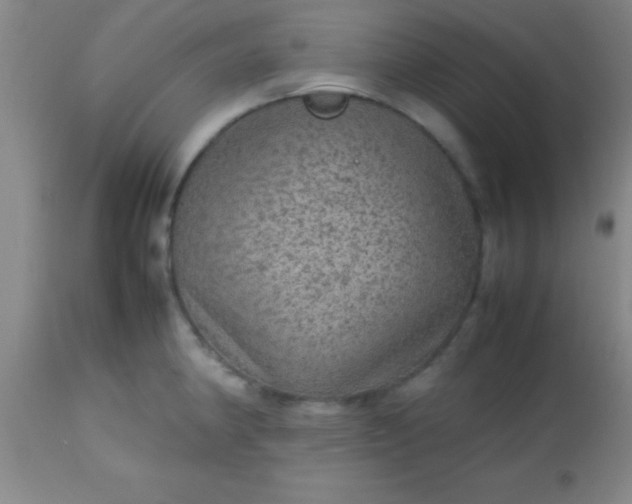 X0000113641190200910021909