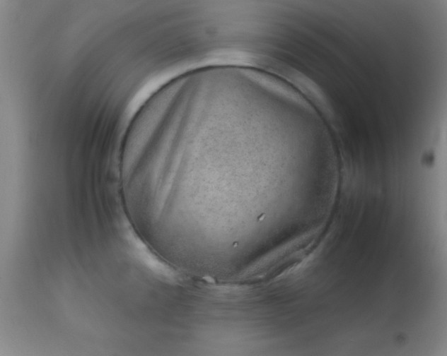 X0000113641192200910021909