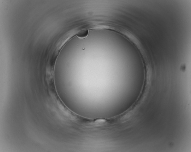 X0000113641193200910021909