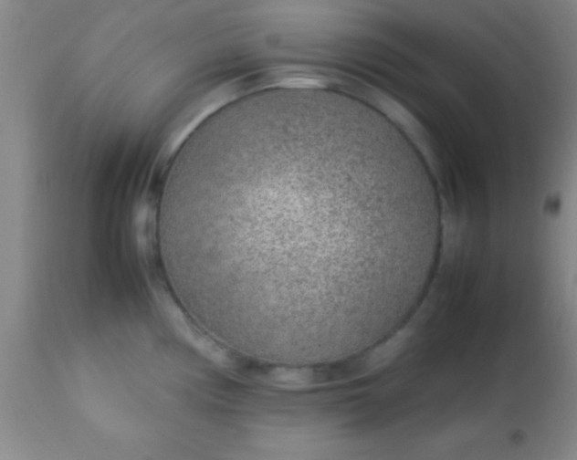 X0000113641194200910021909