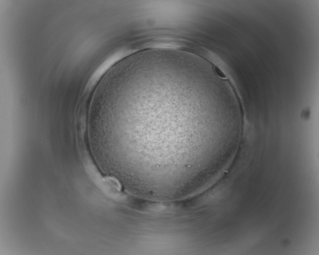 X0000113641195200910021909