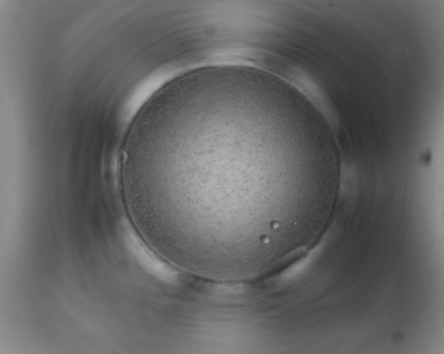 X0000113641196200910021909