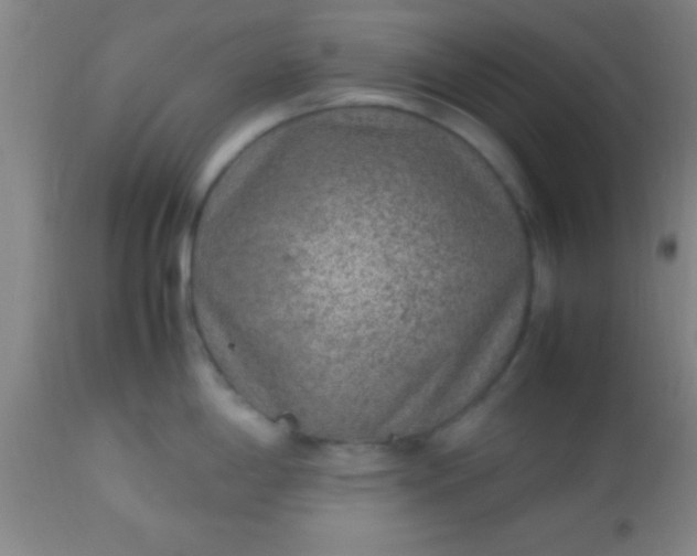 X0000113641198200910021909