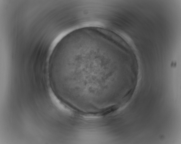 X0000113641200200910021909